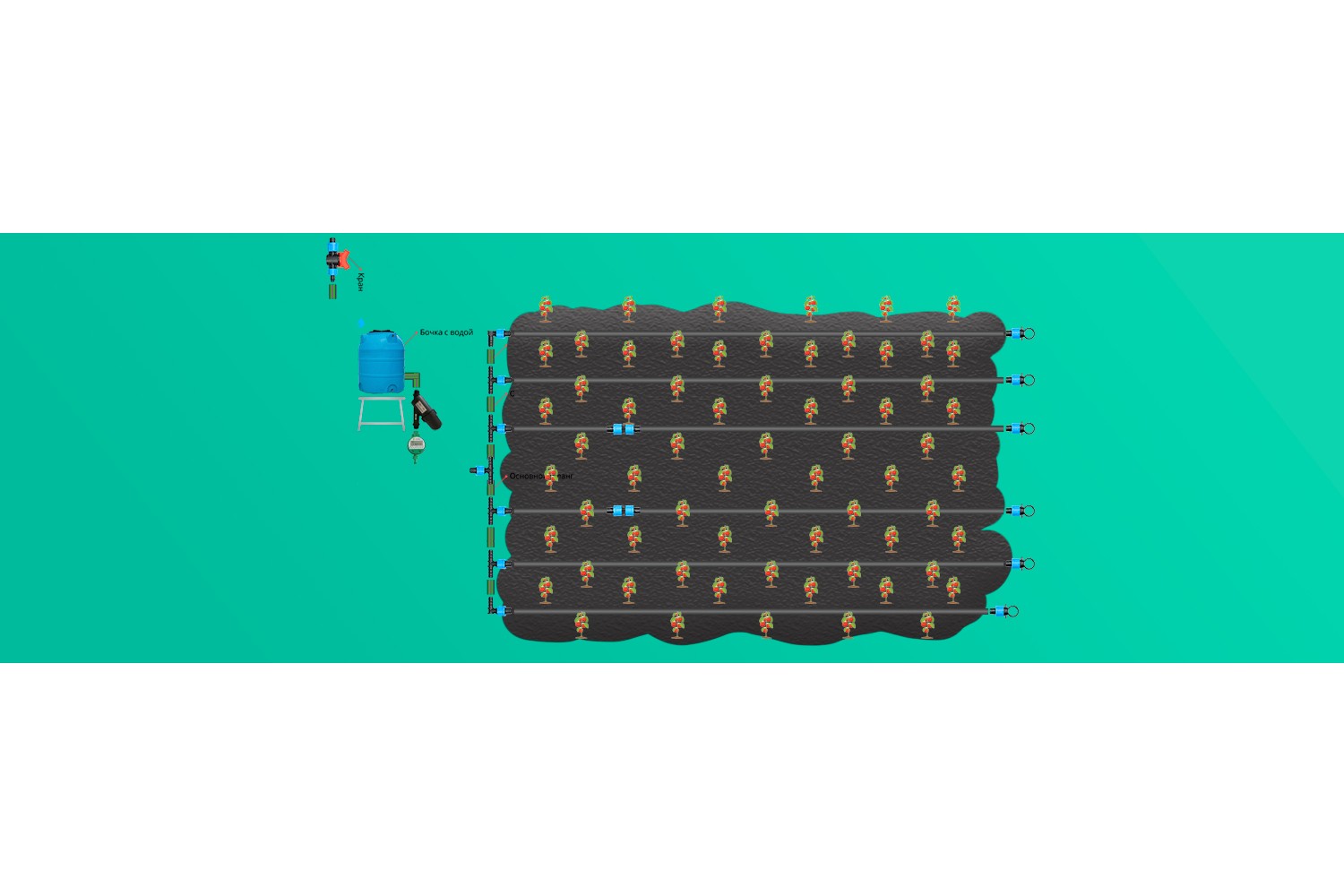 Схемы грядок и полива для теплицы 3х6 и 3х4